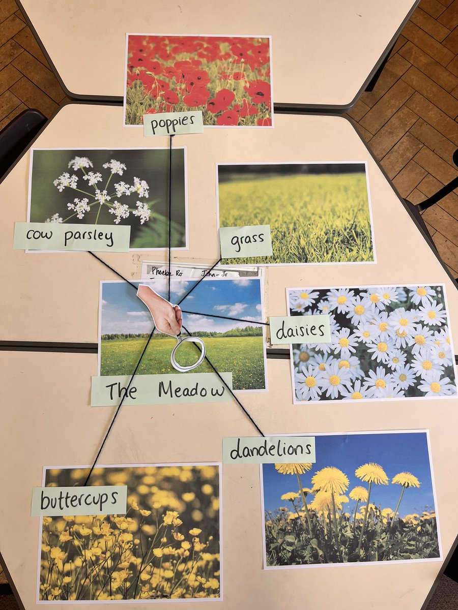 missmarcucci's tweet photo. Well there goes my big observation! Just two weeks left of year 2 professional practice now! Such a lovely session on our scavenger hunt to find the names of different plants 🍀🌸💐☘️🥀🌿🌼 https://t.co/hmlHuspt92