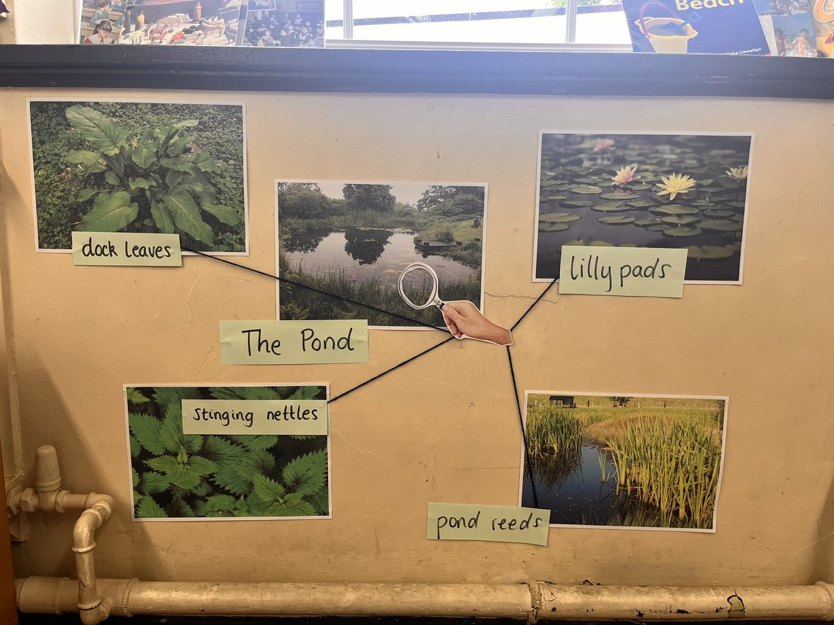 missmarcucci's tweet photo. Well there goes my big observation! Just two weeks left of year 2 professional practice now! Such a lovely session on our scavenger hunt to find the names of different plants 🍀🌸💐☘️🥀🌿🌼 https://t.co/hmlHuspt92