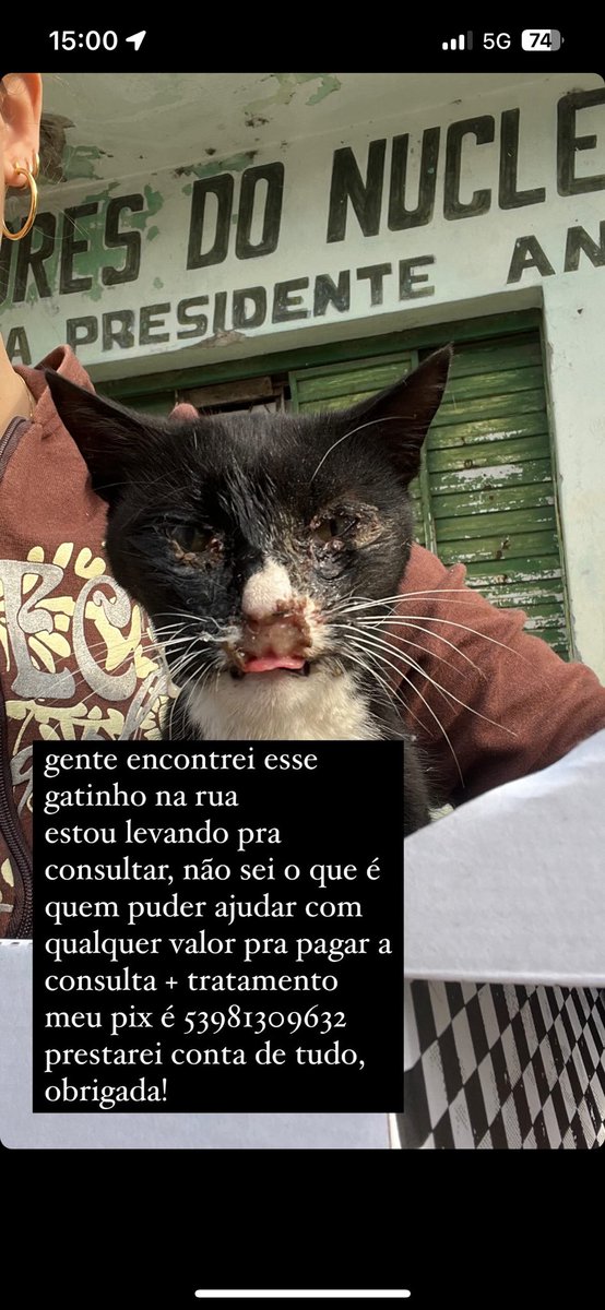 joiarara___'s tweet photo. gente por favor ajudem a compartilhar, quem puder doar qualquer valor agradeço muito
estava jogado na rua que mal se mexia, achei ate que tava morto
ja trouxe ele pra consultar https://t.co/fBxhsQ6mEn