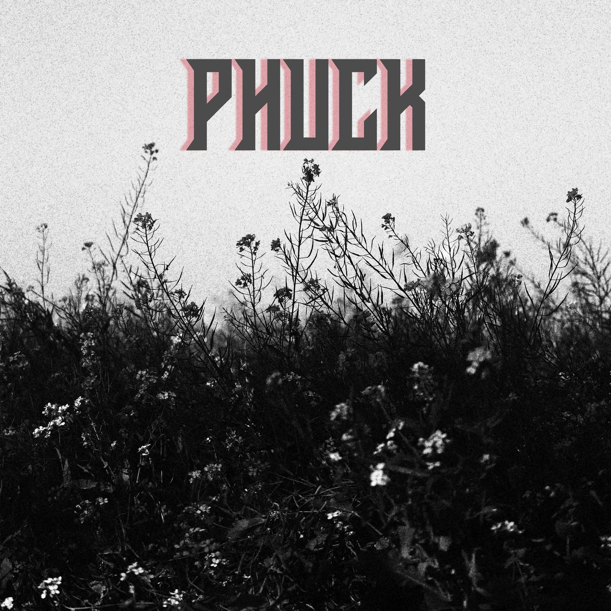 “PHUCK” IS OUT NOW EVERYWHERE 🔥😈

🔗: distrokid.com/hyperfollow/di…

Honestly I love the energy of this song and I’m thinking you guys will too. It’s a dirty lil jon. I’m kinda bummed I couldn’t squeeze it in the last show at The Big Dipper, oh well. Let me know what you think 👇