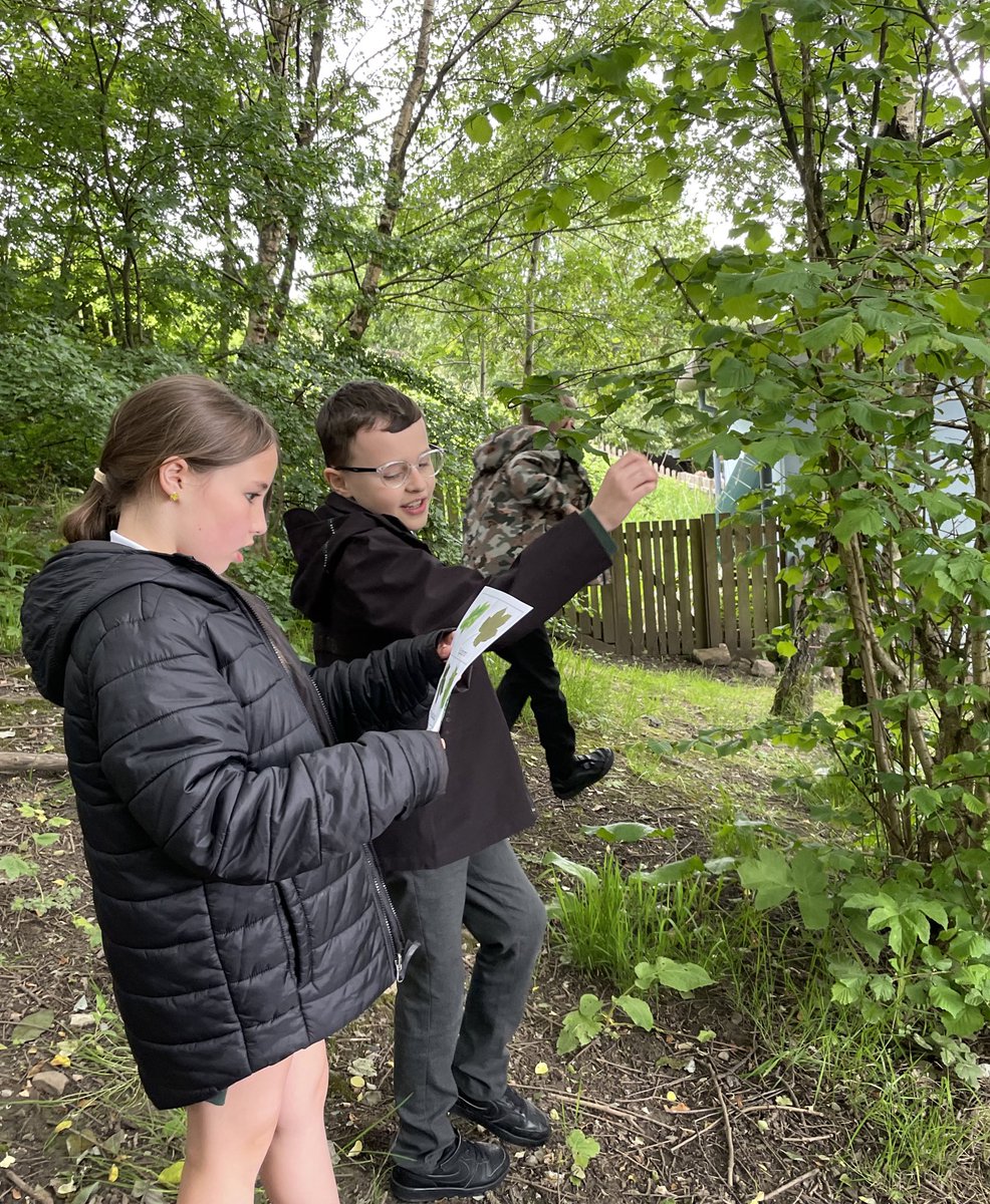 WillowtownPri's tweet photo. We’ve been celebrating our own #outdoorlearning week. We made bird feeders and used @MerlinBirdID to identify birds. We collected leaves to find what trees we have in our school community. We created leaf rubbings and calculated the area of our leaves! #WillowtownWay4 #WPSstem 🍃 https://t.co/6SnSgvO8Pv