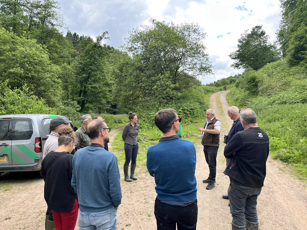 DelphinePouget's tweet photo. #1 Another excellent meeting of the English Species Reintroduction Taskforce #ESRT diving into some initial results of the barriers and enablers to more and better #conservationtranslocation as well understanding the benefits and risks of predator reintroduction. https://t.co/CfRTR8rUPV