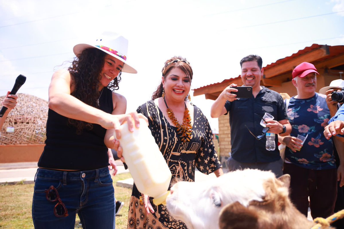 Luisa Alcalde tweet media