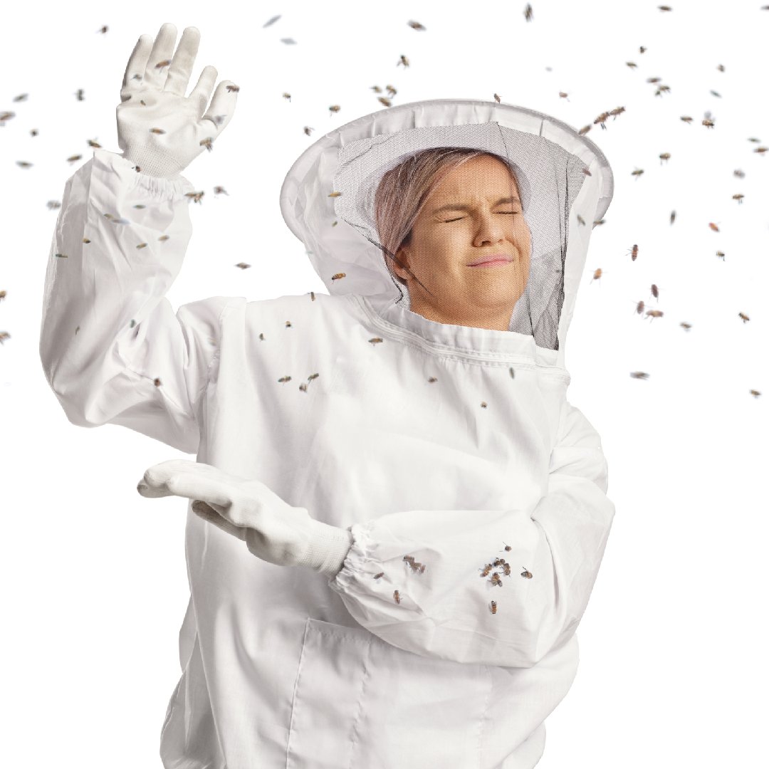 Me fighting off meeting buzzwords 🐝