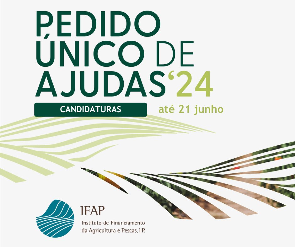 IFAP_institutoP's tweet photo. PU 2024 – ALARGAMENTO DO PERÍODO DE CANDIDATURAS ATÉ 21 JUNHO
O período de candidaturas ao Pedido Único 2024 (PU2024) foi alargado para 21 de junho de 2024, suprimindo o período com penalização.
Mais informações no Portal do IFAP: https://t.co/ec2cNRwRQr
#PU2024 #IFAP https://t.co/ZY5zZnsTA2