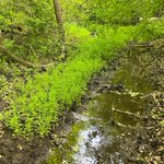 Photo by Ontario Headwaters Institute (@onheadwaters)