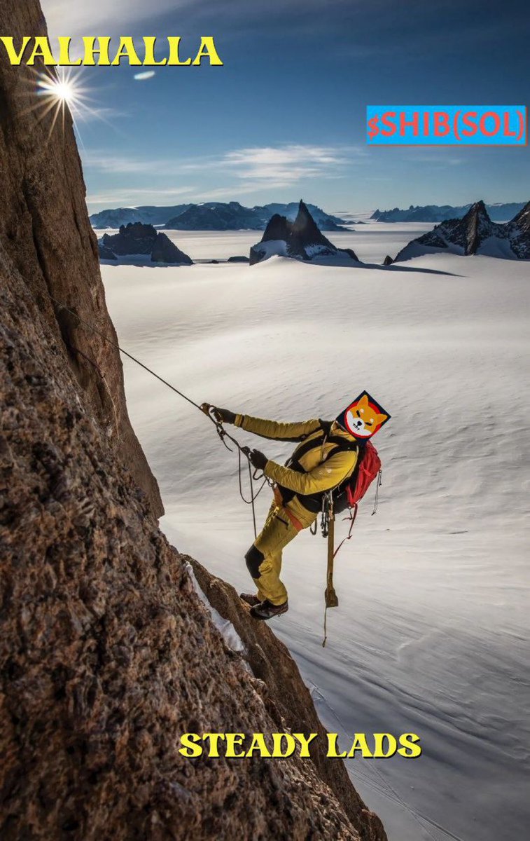 SHIB (SOL) tweet media