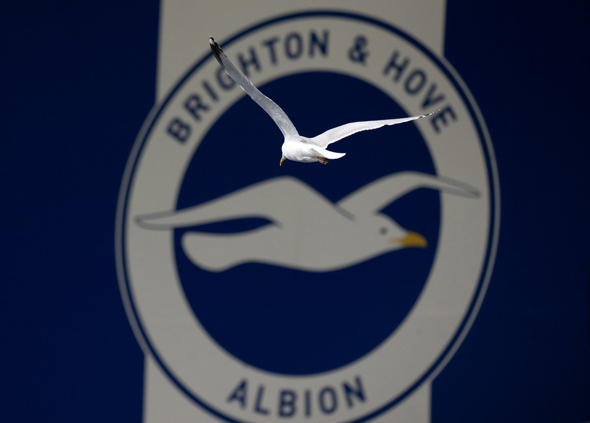 Darren Cool Images tweet media