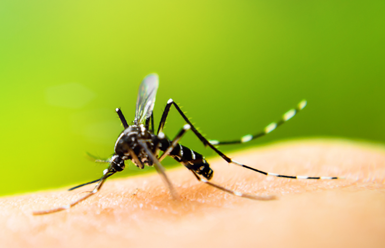 CentralMosquito's tweet photo. Effective for up to 28 days, #Altosid XR-G Ultra provides effective larval control against the emergence of adult #mosquitoes with a consistent mode of action. Learn more in our blog! #CentralMosquito https://t.co/Y3AIBOSsb2 https://t.co/VqOAwQ1fK1