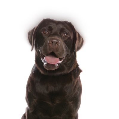 Nigel Sandell tweet media