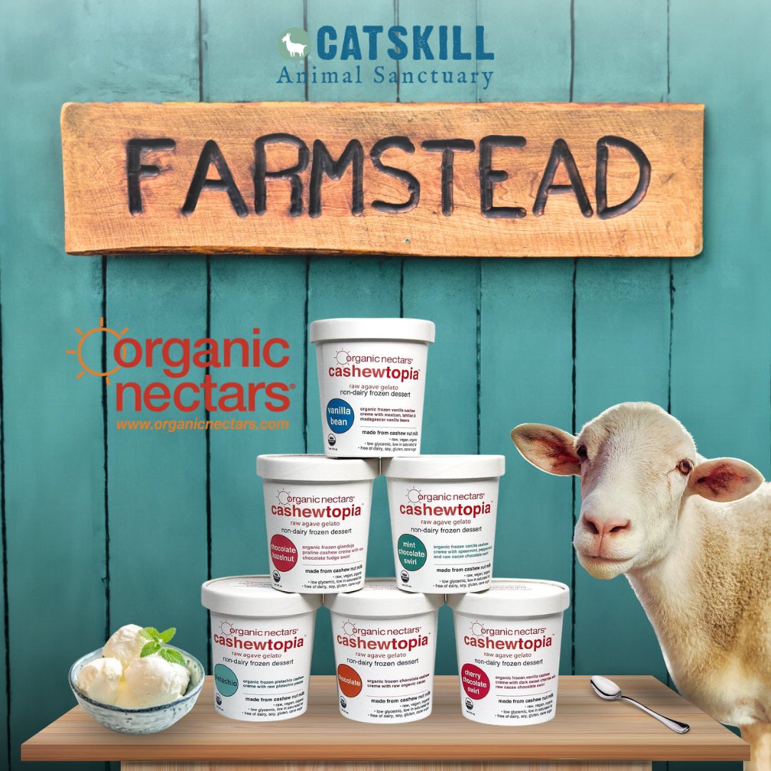 Now offering locally made <a href="/organicnectars/">Organic Nectars</a> Cashewtopia vegan ice cream at our Farmstead shop! Come cool off and enjoy some extra sweetness on your next tour visit!