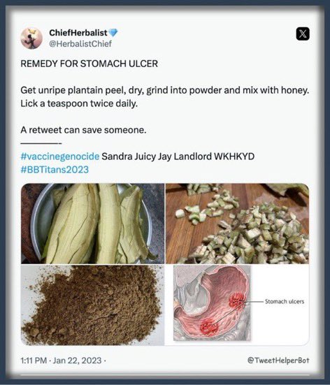 HerbalistChief's tweet photo. Unripe plantain peels doing wonders for a Sister who has suffered Stomach ulcer for more than 20 years. 

Nature heals. https://t.co/pfChmaWxkQ