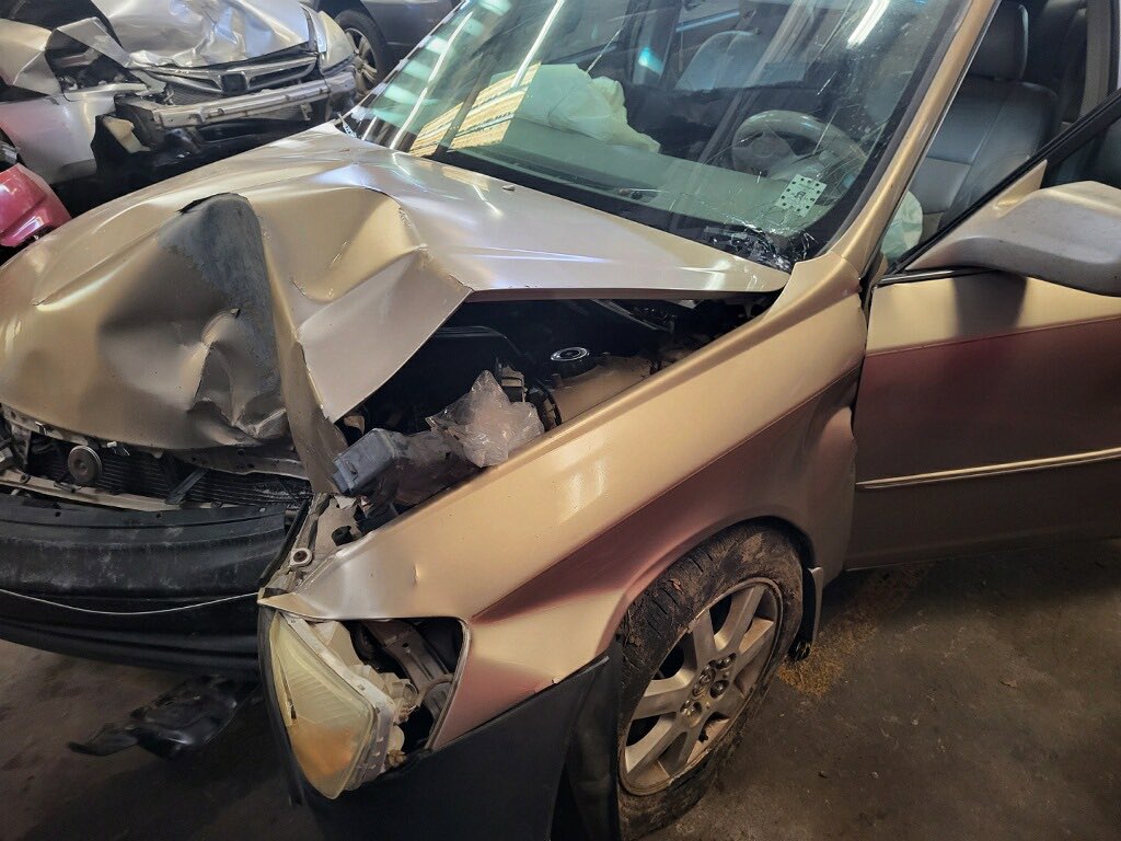 aeonianrot's tweet photo. if y’all wanna know how my life has been going this year, these photos pretty much sum it up. https://t.co/iXJ2sjjEAV