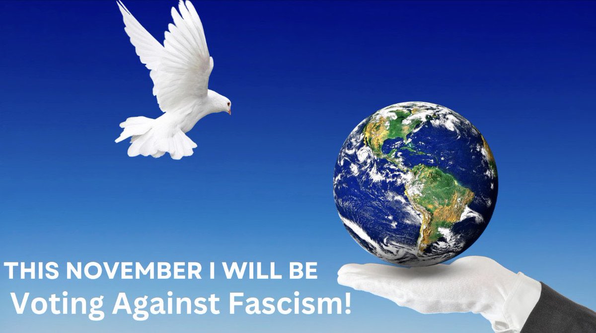 RoseAnnDeMoro's tweet image. 