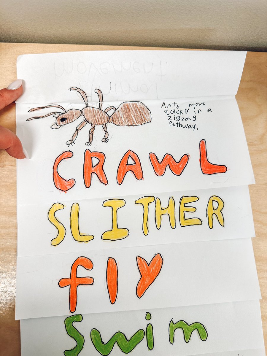 MsVanderlinde's tweet photo. I can… identify and describe how animals move along different pathways. 
Students created flip-books to explore and record different animal movements and pathways! #gradeonelearning https://t.co/fKnD4SUrWg