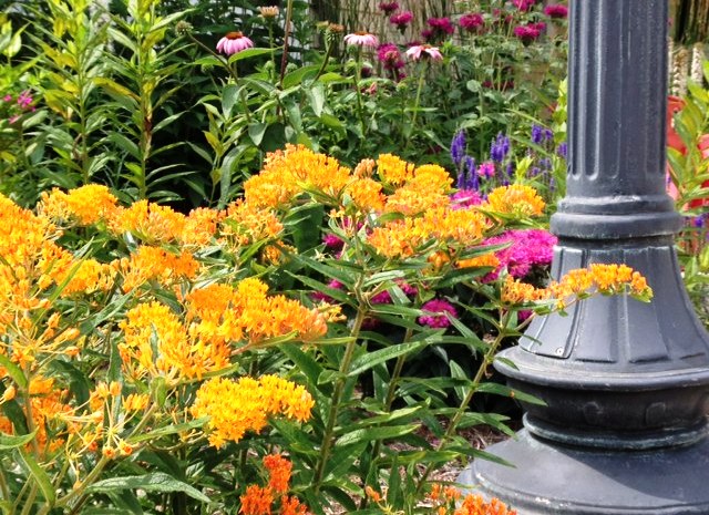 Palos Park E-News is out now! conta.cc/4aJeXxL