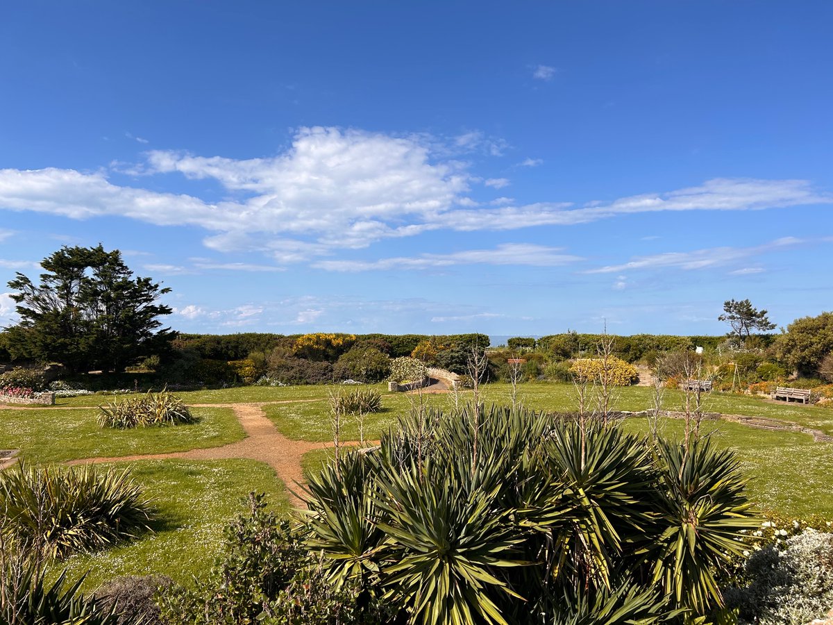Sarah Fox π (@sarahfoxcoach) on Twitter photo Lovely mtg with <a href="/BeckyVincer/">BeckyVincer</a> talking about creating the best env for thinking, learning & resting & what venues/outdoor spaces weβll use for our gatherings. #GroupCoaching #Leadership #Margate #Ramsgate #Broadstairs #nature #restisresistance #sunkengarden sarahfox.co.uk/the-clearing-iβ¦ Lovely mtg with <a href="/BeckyVincer/">BeckyVincer</a> talking about creating the best env for thinking, learning & resting & what venues/outdoor spaces weβll use for our gatherings. #GroupCoaching #Leadership #Margate #Ramsgate #Broadstairs #nature #restisresistance #sunkengarden sarahfox.co.uk/the-clearing-iβ¦