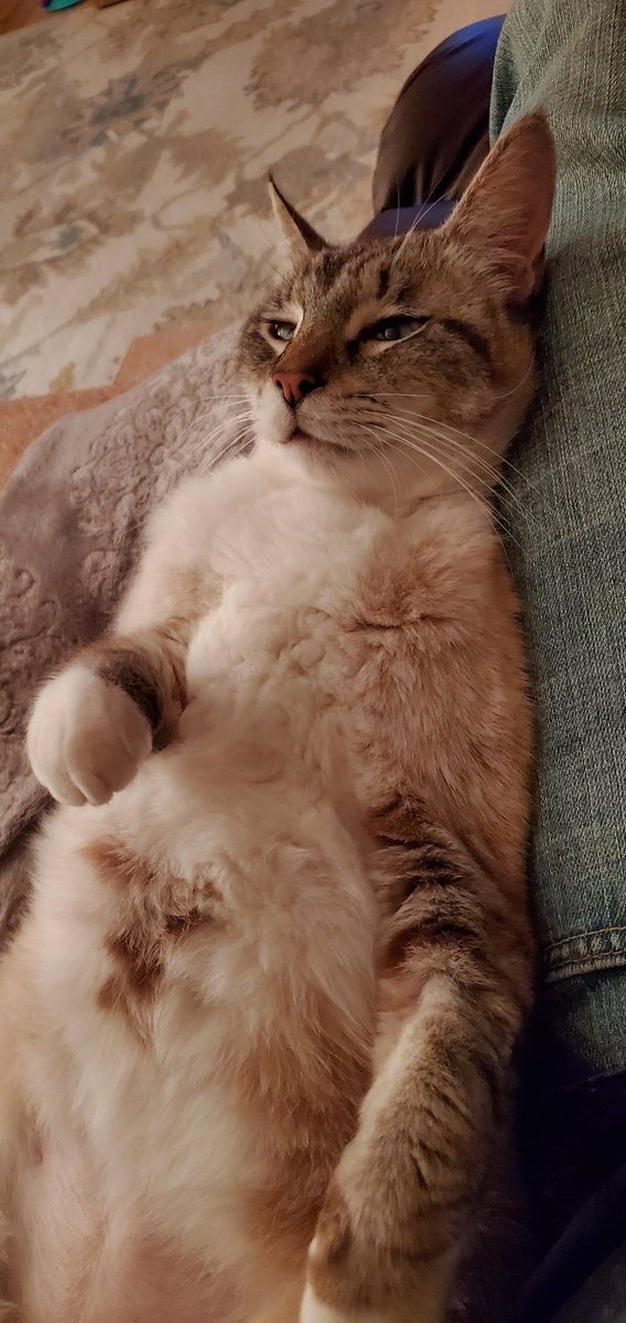 WinkProgress 🐈🐾😺 tweet media