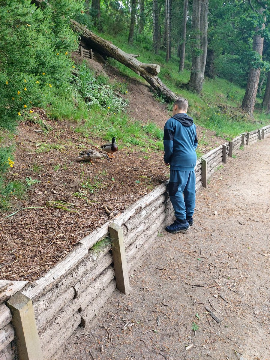 Forres Academy Inclusion tweet media