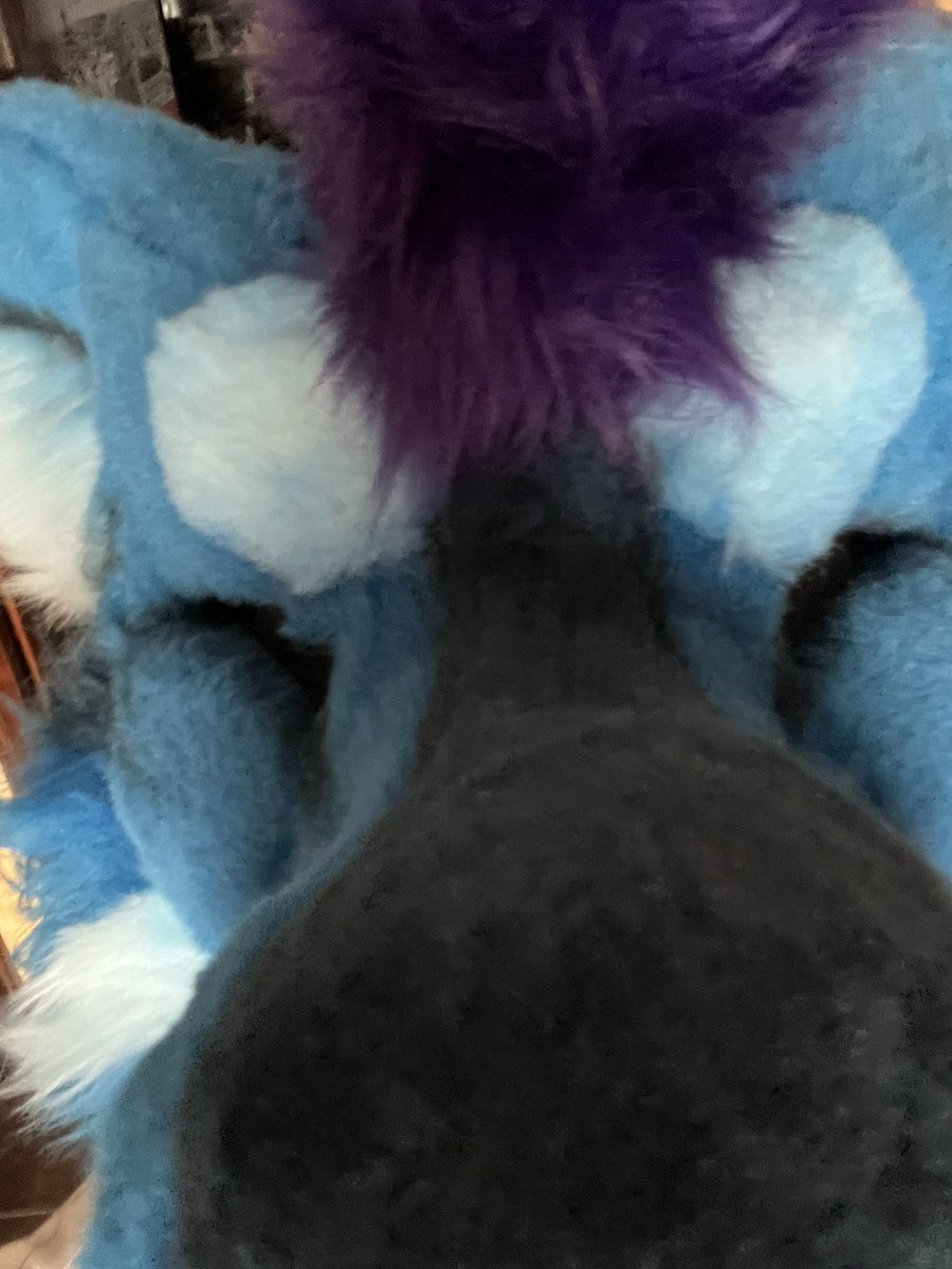 rade_fire's tweet photo. Can’t see the camera
-
#FursuitFriday https://t.co/RB6wneZeWp
