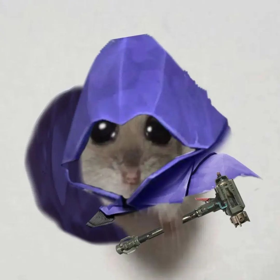 VALORANT X Sad Hamster