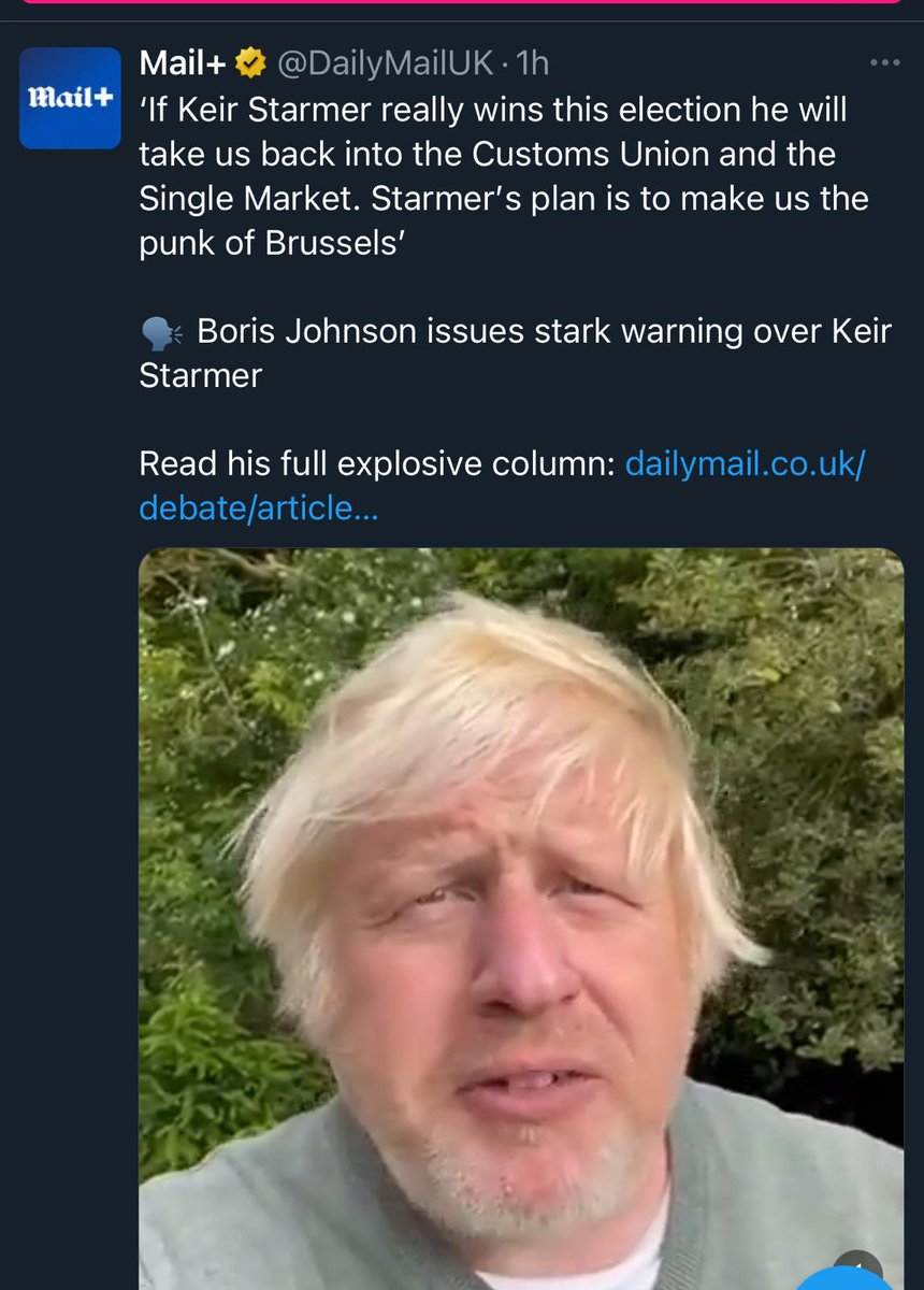 Cory_Tunt's tweet photo. He may look like somebody threw a slice of battenburg into a bucket of pubes, but it's the point that counts. https://t.co/hAHrRUMkUV