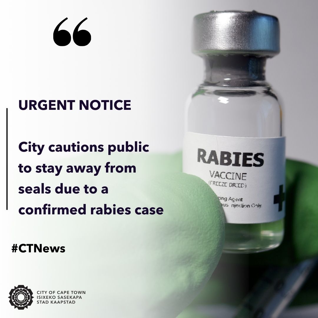 CityofCT's tweet photo. URGENT NOTICE: City cautions public to stay away from seals due to a confirmed rabies case.

The City of Cape Town is advising the public to stay away from seals as far as possible, and with immediate effect.

Read more: https://t.co/APsNuTV8I3

#CTNews https://t.co/08QeF2MLgF
