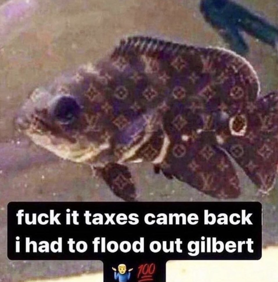 ShitpostGateway tweet media