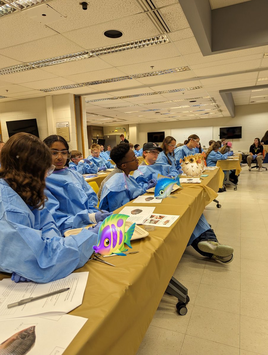 BoilerVetCamp's tweet photo. #teamllama doing a fish dissection https://t.co/hg9dHSfm7Y
