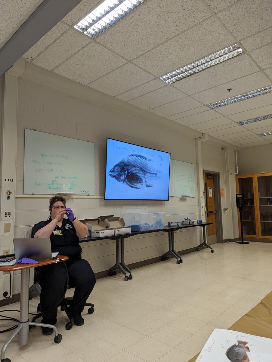 BoilerVetCamp's tweet photo. #teamllama doing a fish dissection https://t.co/hg9dHSfm7Y