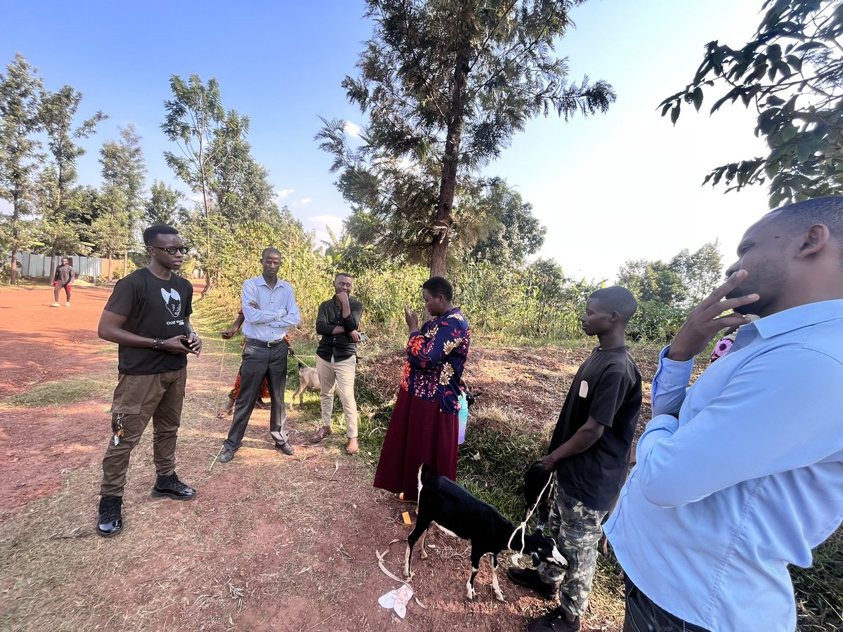 Our Past Initiative (@our_past_in) on Twitter photo In Line With #Kwibuka30,
Today With the support of <a href="/KigaliShapers/">Kigali Global Shapers</a> we offered support to survivors by donating 10 goats to 5 families in <a href="/GasaboDistrict/">Gasabo District</a> / Nduba Sector.
During the event, the Social Affairs Director of Nduba Sector extended gratitude to <a href="/KigaliShapers/">Kigali Global Shapers</a> and Our In Line With #Kwibuka30,
Today With the support of <a href="/KigaliShapers/">Kigali Global Shapers</a> we offered support to survivors by donating 10 goats to 5 families in <a href="/GasaboDistrict/">Gasabo District</a> / Nduba Sector.
During the event, the Social Affairs Director of Nduba Sector extended gratitude to <a href="/KigaliShapers/">Kigali Global Shapers</a> and Our