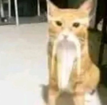 mistery_47 🎲🎀 memes tweet media