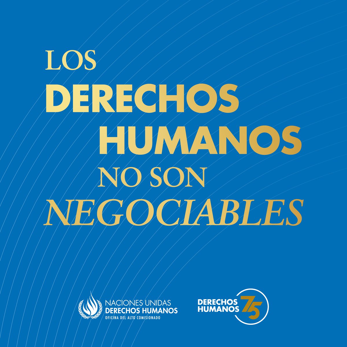 Derecho a la vida.

Derecho a la libertad.

Derecho a la justicia.

Los derechos humanos son inherentes a las personas. Y no son negociables.

#DefiendeLosDerechosHumanos