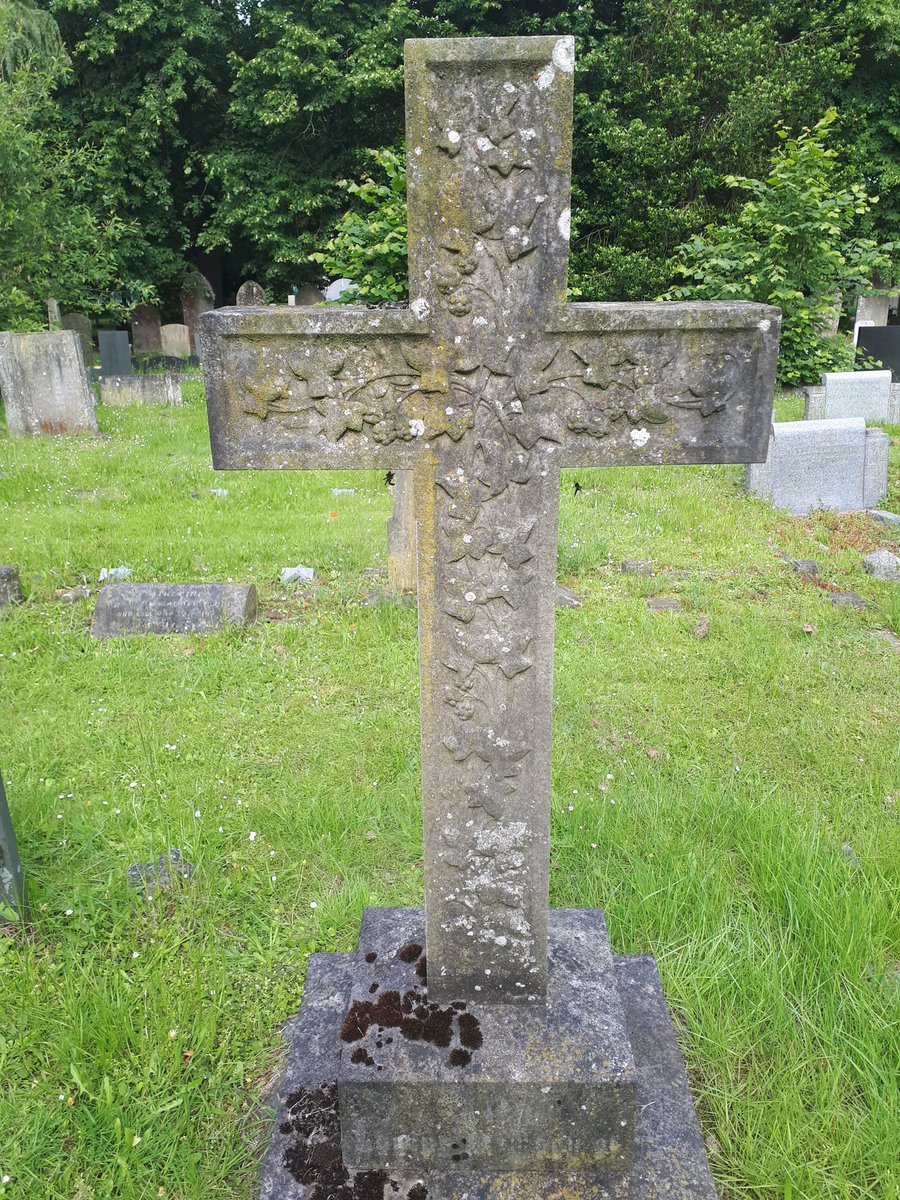 KJ_H4wkins's tweet photo. Day 7 #30DaysWild and #BreakfastOutside.
I found two different sorts of ivy in the cemetery! One will be more beneficial for wildlife though!! https://t.co/grkbFpUoKd