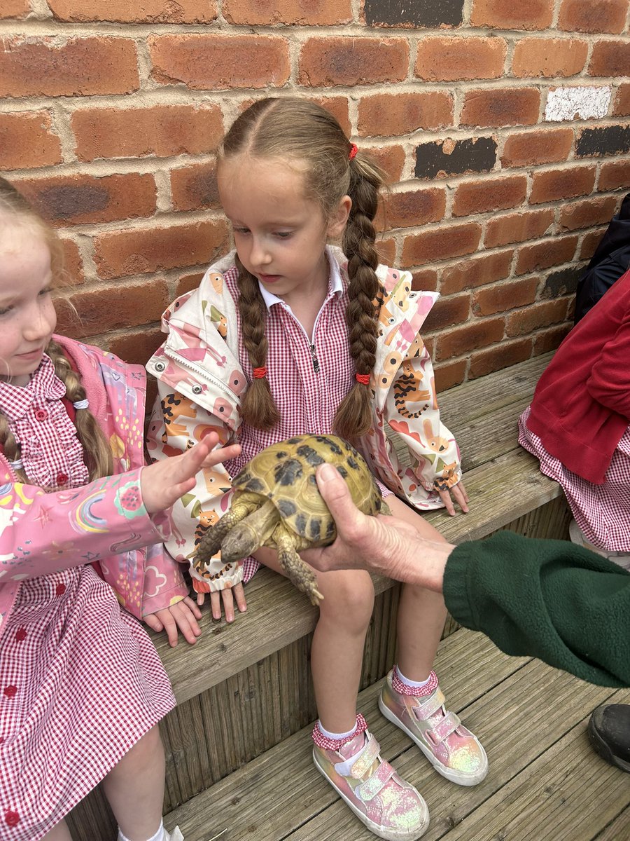 A brilliant trip today. So much fun and learning! <a href="/PrimaryWynndale/">Wynndale Primary</a>