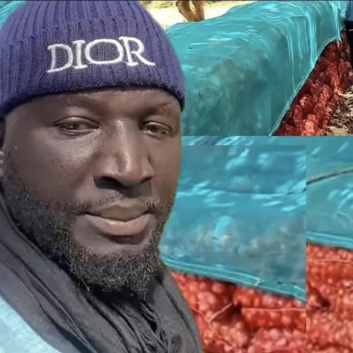 Mame cheikh ibrahima fall tweet media