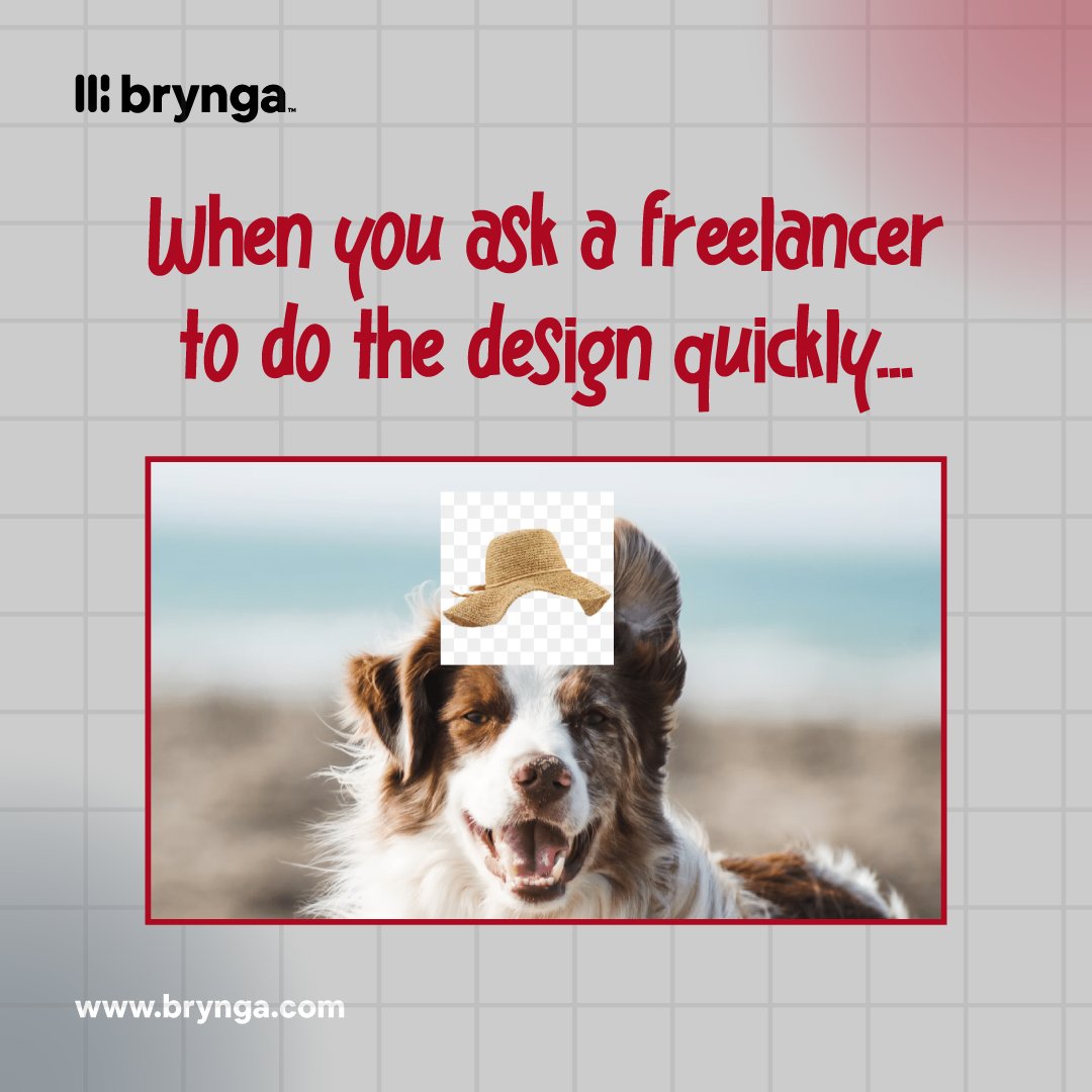 Sometimes, when you hire a freelancer, things might not go as expected. 

That's why you need to work with a content agency... we offer the work of a team for less than the price of one in-house hire. 😱 

Get started: brynga.com

#CreativeTeam