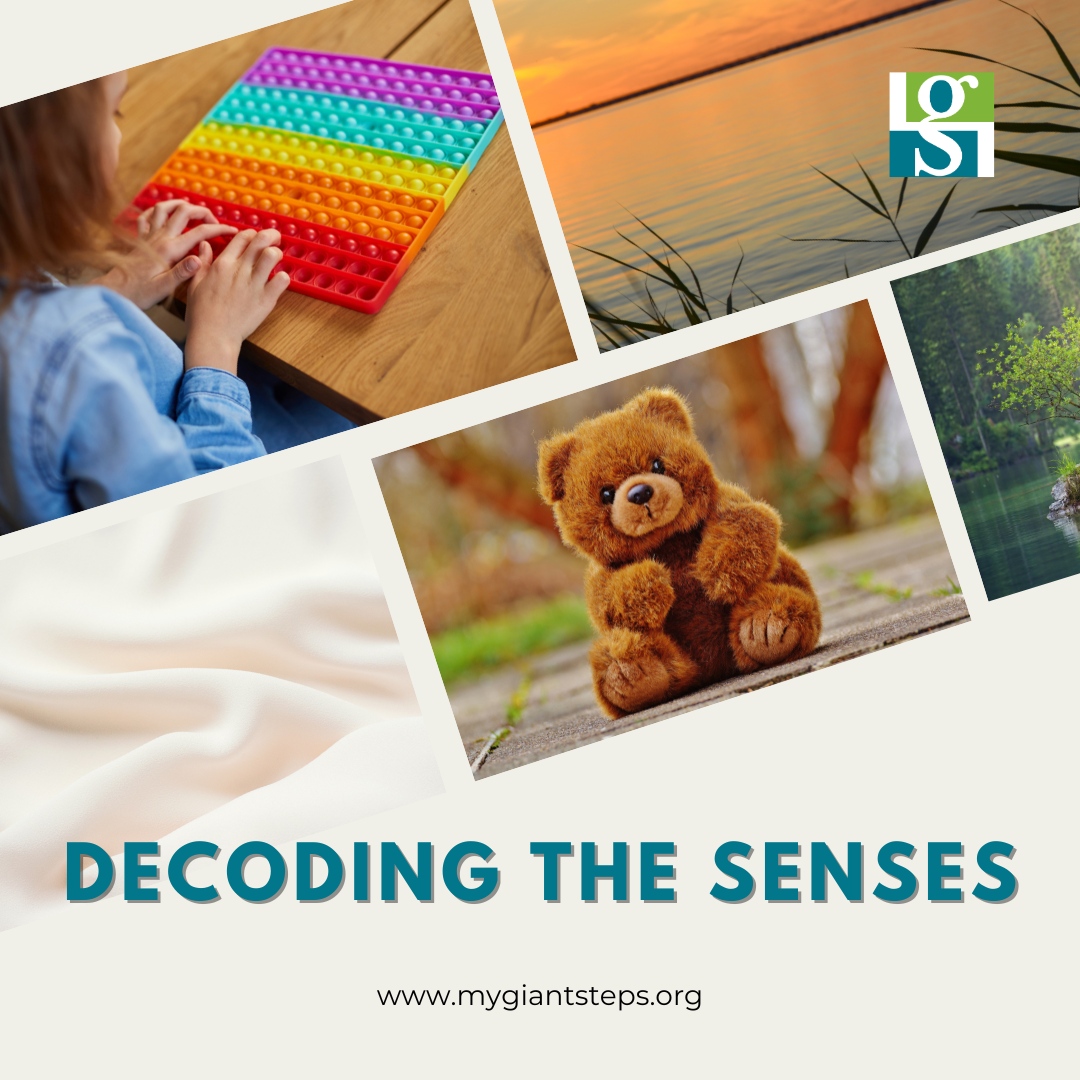 Giant Steps Illinois tweet media