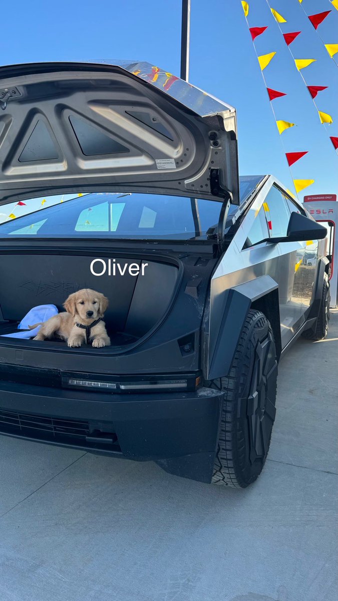 Earl of FrunkPuppy tweet media