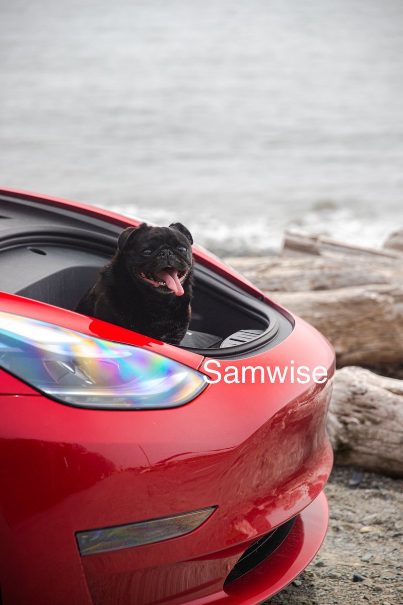 Earl of FrunkPuppy tweet media