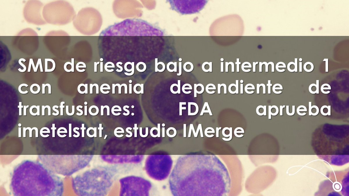 sciencelinkonco's tweet photo. #ScienceLink #Imetelstat #IMerge
https://t.co/NGiGG663W3 https://t.co/hIzv6Guy2r