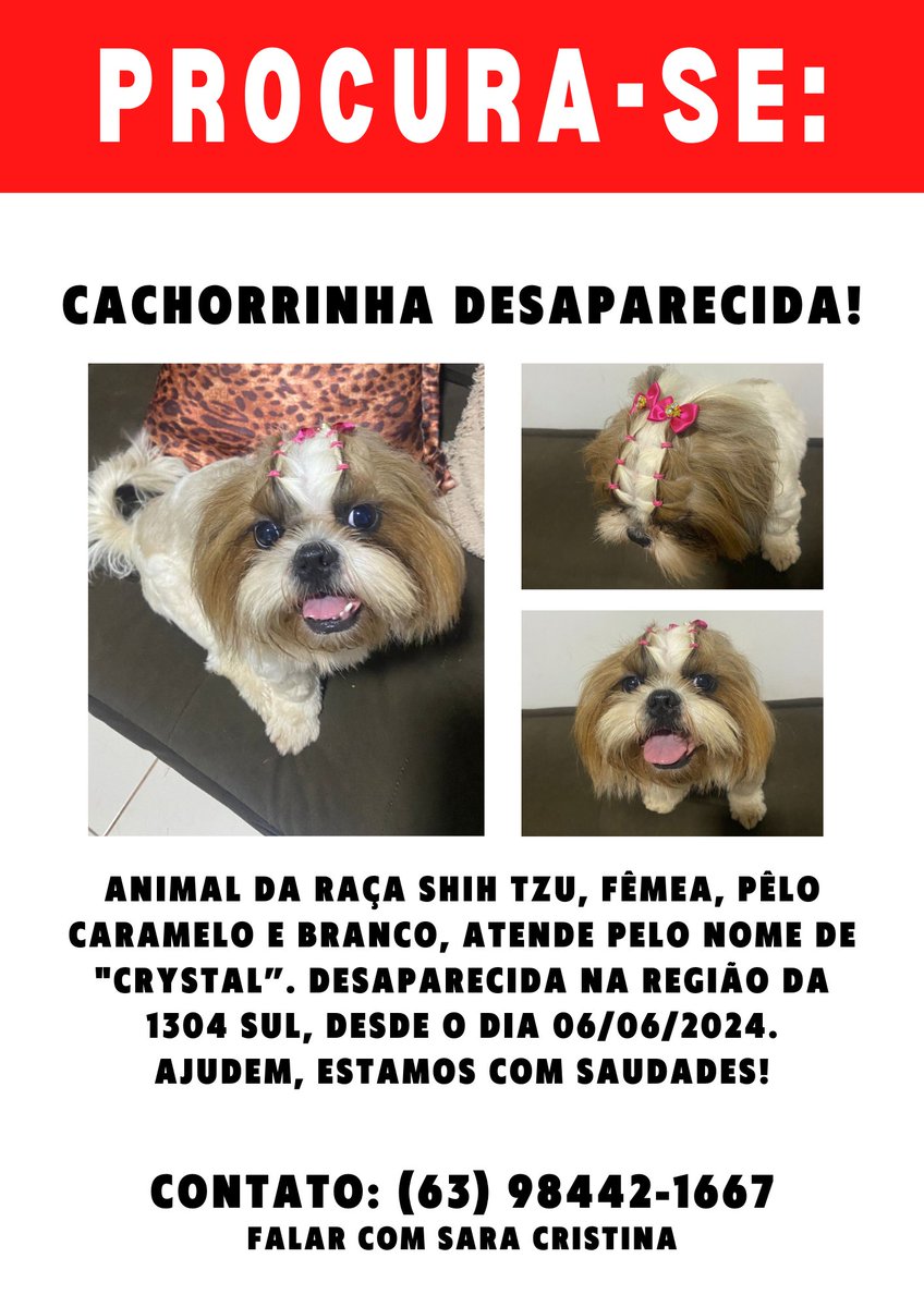 _saracristinaf's tweet photo. Quem puder ajudar dando RT 🥺 https://t.co/3b0HyIm9gO