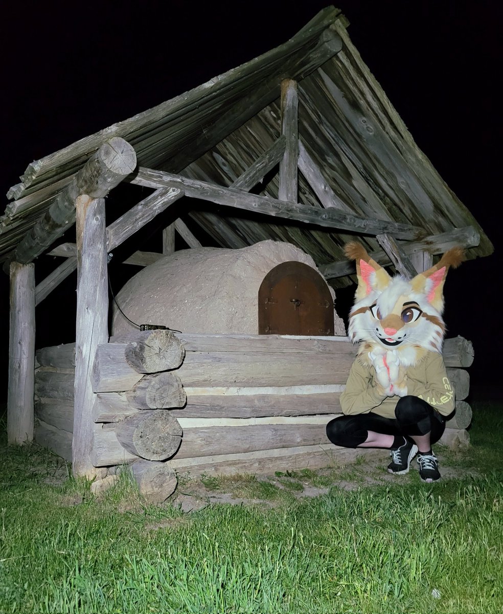 Y'all wanna get baked???
🪡: <a href="/AlphaLyncis/">🌜Alpha Lyncis Fursuits🌛</a> #FursuitFriday