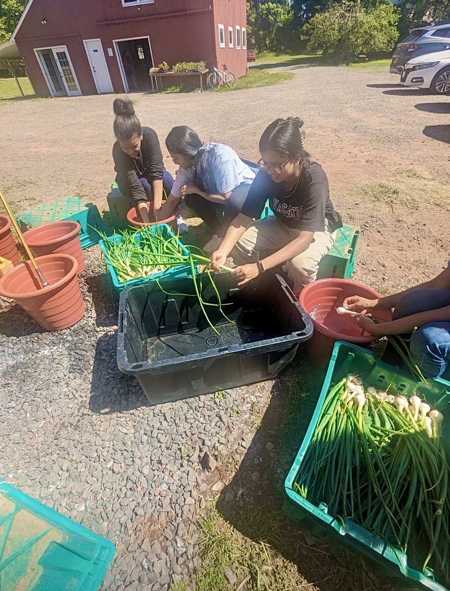 MercerCountyOEA's tweet photo. Check out more moments from the Final Project Day for the Agrihood Internship Program!

Our interns were absolutely phenomenal...and all semester! Swipe to see them out at their perspective project sites. https://t.co/Oo7cileAxo