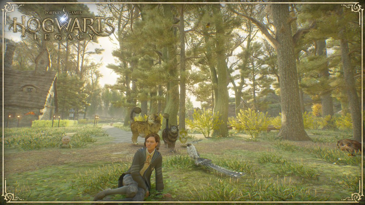 BeA_wesome's tweet photo. A day late but absolutely loving the Photo Mode the team from Avalanche bestowed on Hogwarts Legacy 🥳 

#HogwartsLegacy
#CaptureTheUnwritten
#HogwartsLegacyMC https://t.co/y9RmRYa7FQ