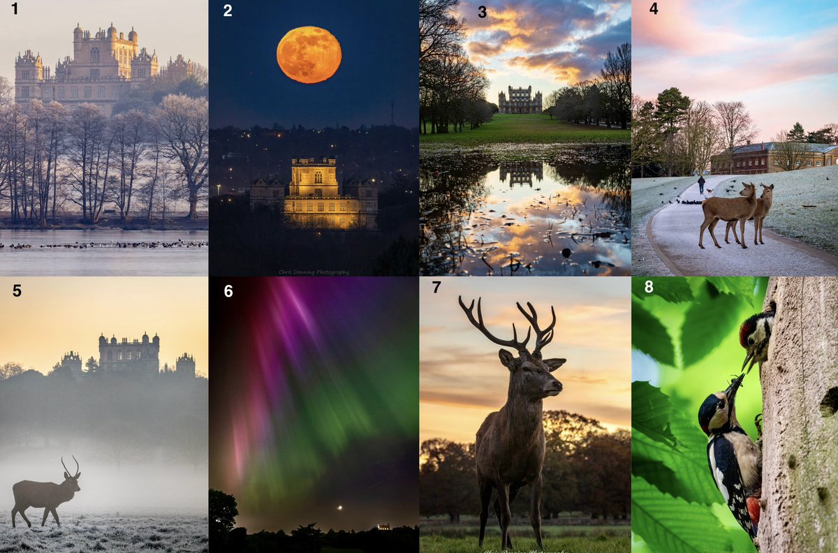 Chris Denning tweet media