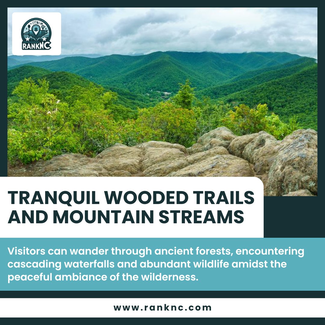 rank_nc's tweet photo. Montreat Wilderness...

Montreat Wilderness beckons with its serene wooded trails and the soothing sounds of mountain streams.

https://t.co/rRJqalKPb8

#RankNC #explorenc #ncadventures #discovercarolina #nchiddengems #nctravels #visitnc #nchiking #ncoutdoors #nccamping https://t.co/yUjEdAQs4f