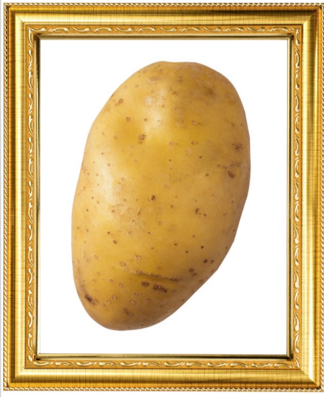 Totnes Popular Assembly tweet media