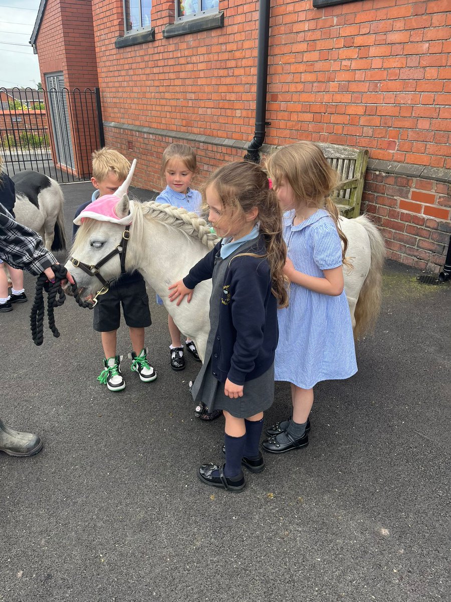 Anne-Marie Jones tweet media