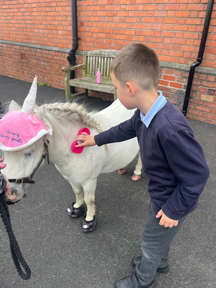 Anne-Marie Jones tweet media